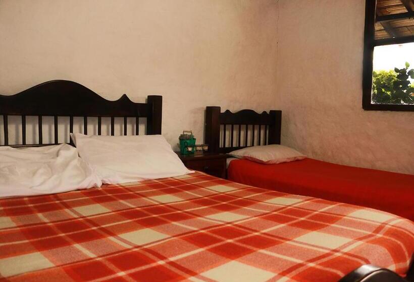 اتاق استاندارد چهار تخته, Hostal El Zafiro Del Café