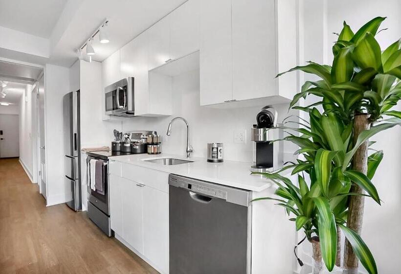 Apartamento 3 Dormitórios, Hala Dc