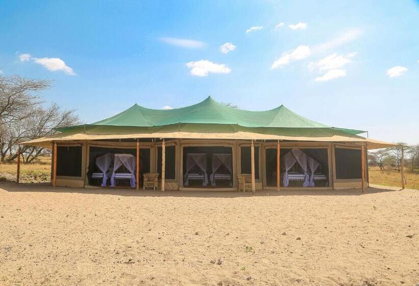 اتاق لوکس خانوادگی, Ndoto Serengeti Camp