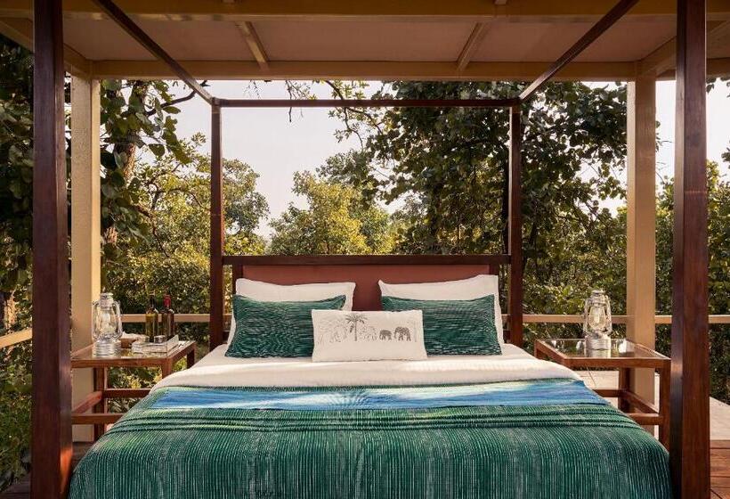 Deluxe Tent, Bagh Tola, Bandhavgarh Tiger Reserve
