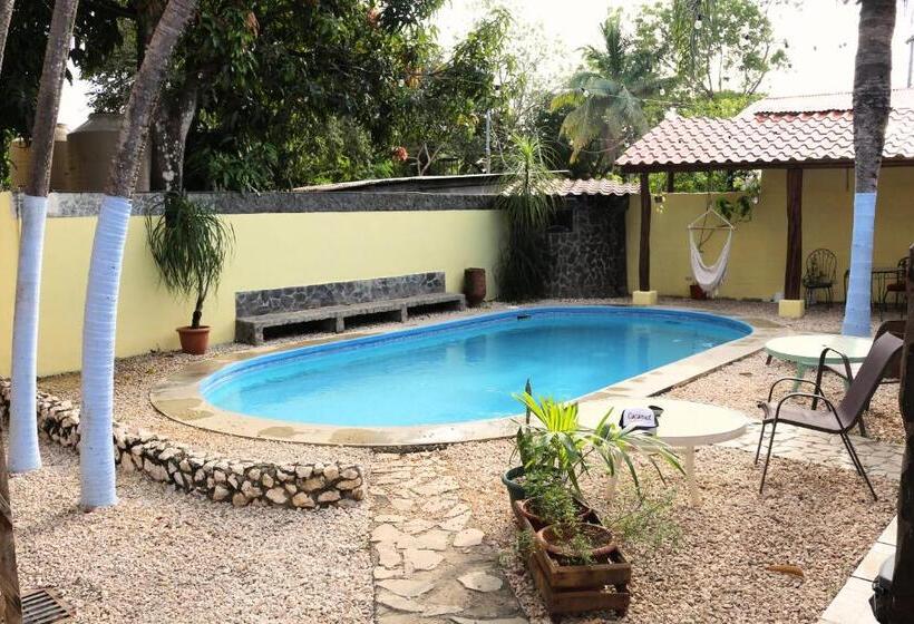 Номер Стандарт, Coconut Beach House
