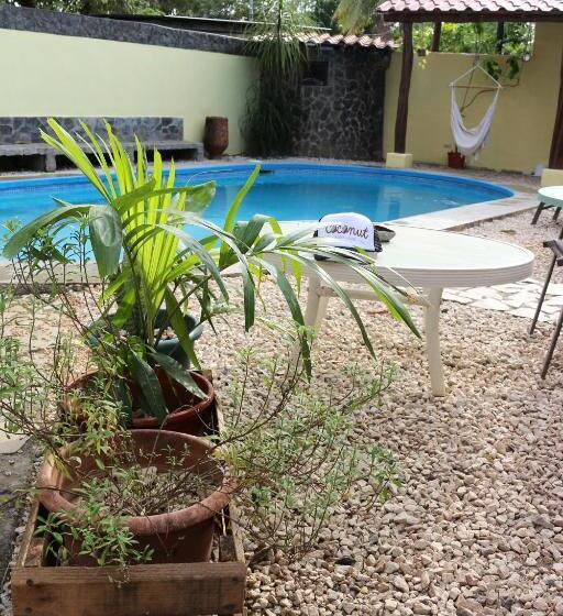 Номер Стандарт, Coconut Beach House