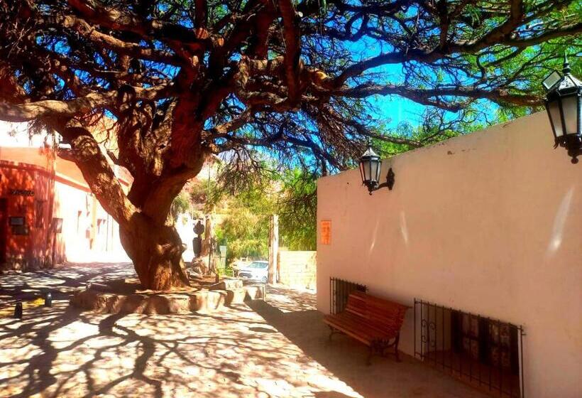 آپارتمان 1 خوابه با چشم‌انداز, La Posta De Viltipoco