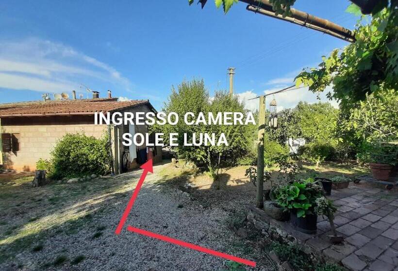 اتاق استاندارد یک نفره, Affittacamere La Casella Monteriggioni
