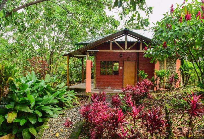 Номер Стандарт, Hosteria Kindi Wasi