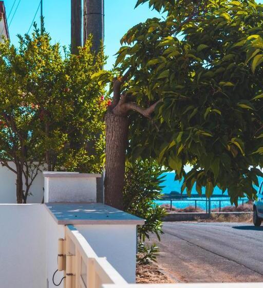 استودیوی استاندارد, La Spiaggetta