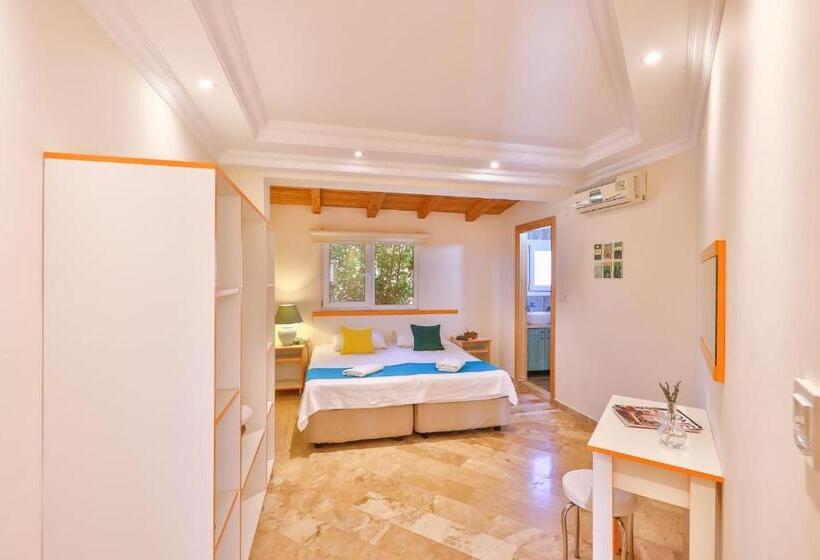 Номер Стандарт, Lacitrus Villa &