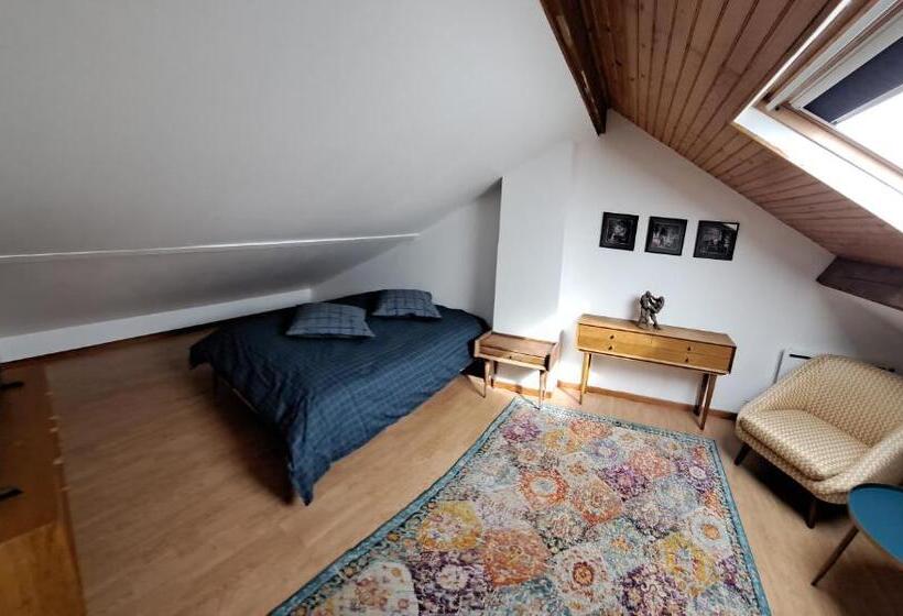 豪华房间, Cosy Room