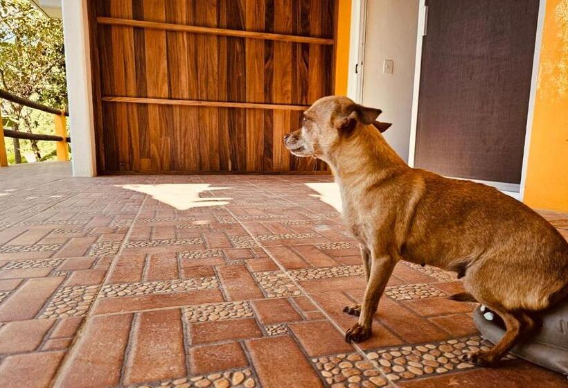 Quarto Deluxe, Finca San Antonio
