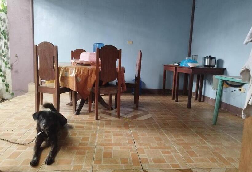 اتاق خانوادگی, Marian S Transient House
