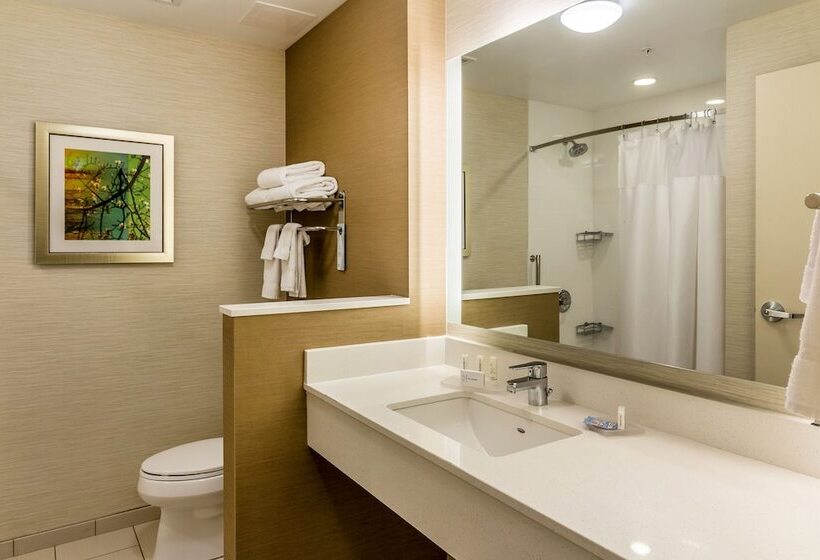 Люкс, Fairfield Inn & Suites By Marriott Butte