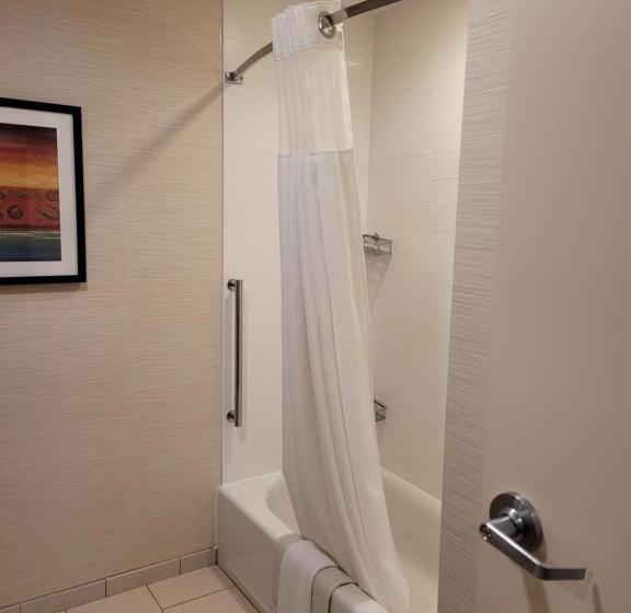 Люкс, Fairfield Inn & Suites By Marriott Butte