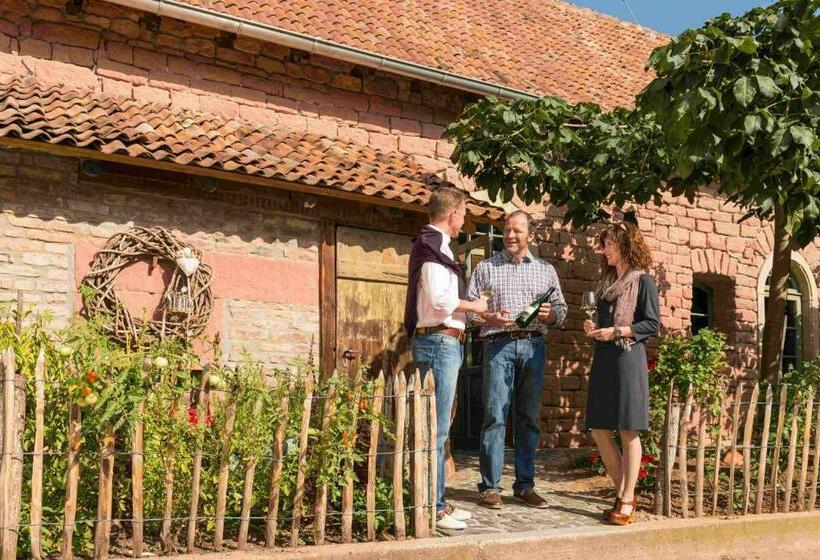 Номер Стандарт, Heinrichs Winery Bed & Breakfast