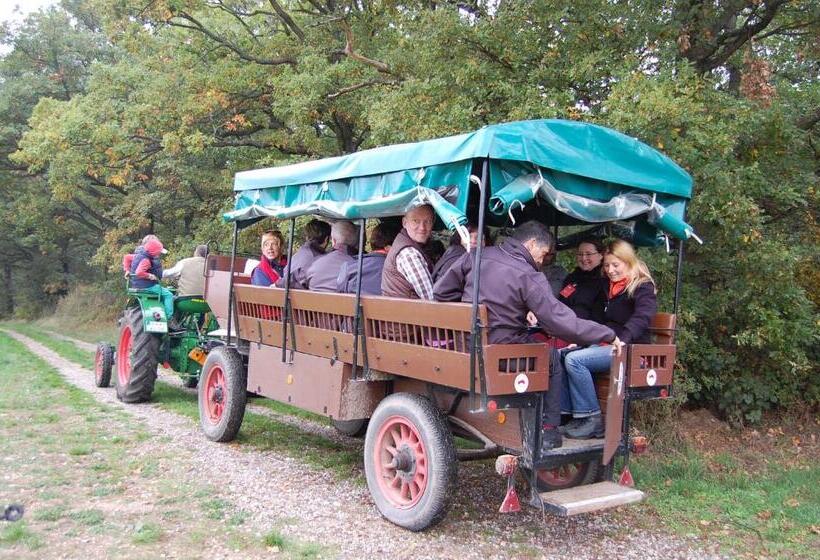 غرفة كومفورت فردية, Heinrichs Winery Bed & Breakfast