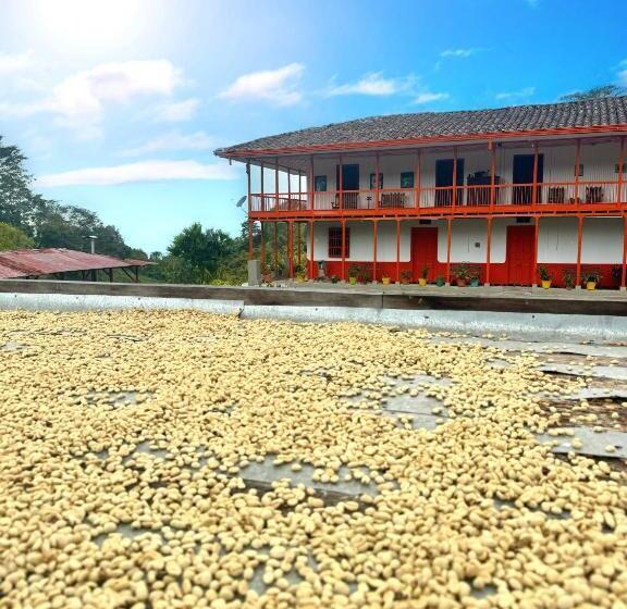 家庭间, Finca Tradicional El Balcón