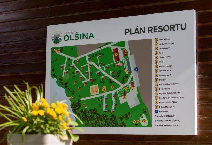 Номер Стандарт, Resort Olšina