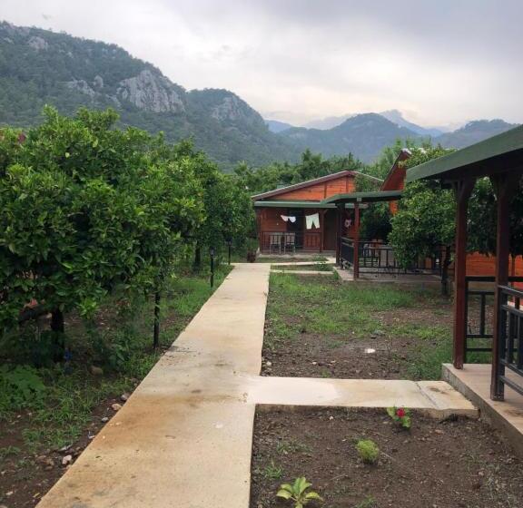 اتاق استاندارد چهار تخته, Cıralı Anka Apart Bungalov