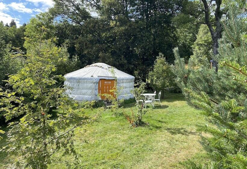 Standard Tent, Eco Yourte Les Airelles
