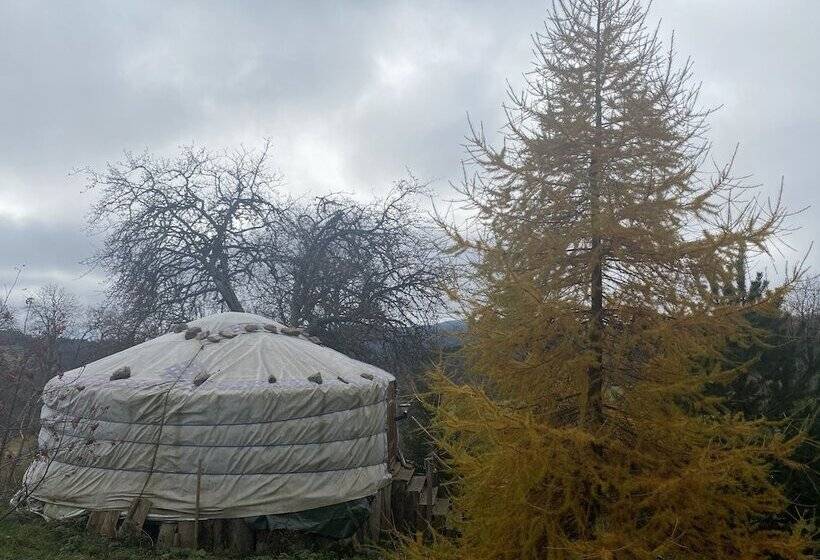 Superior Tent, Eco Yourte Les Airelles