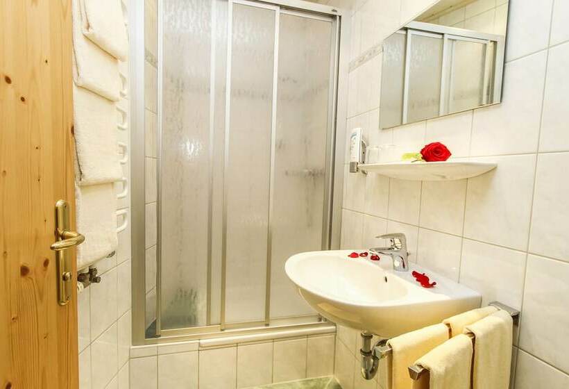 Апартаменты 1 Спальня, Appartements Trinker