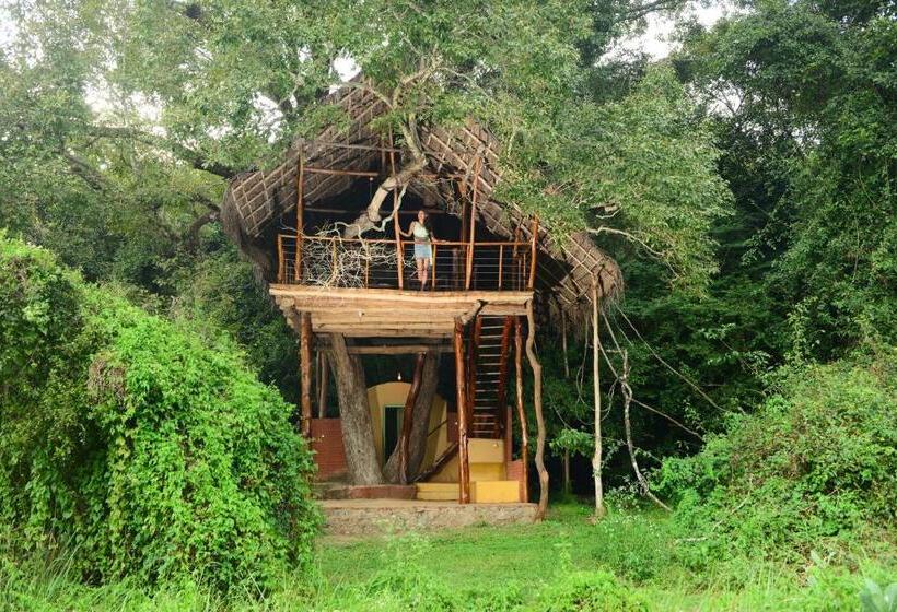 Дом 1 Спальня, Back Of Beyond   Wild Haven