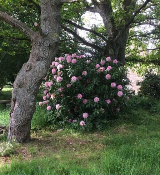 Номер Стандарт, La Forge De La Coudraie
