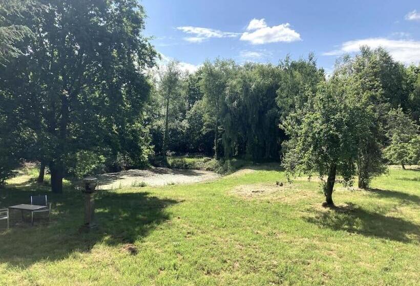 Номер Стандарт, La Forge De La Coudraie