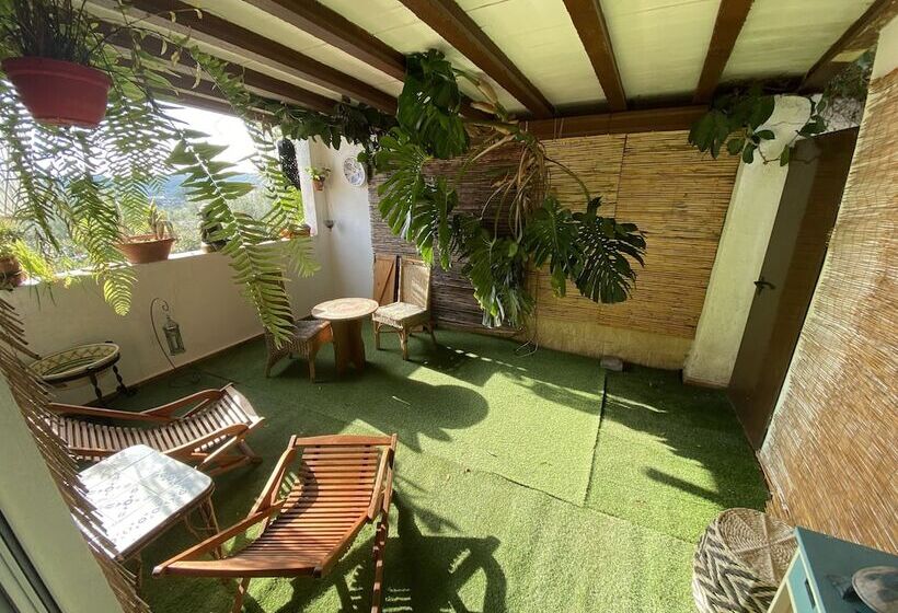 Номер Стандарт с Террасой, Altea Paradise 1917   Adults Only