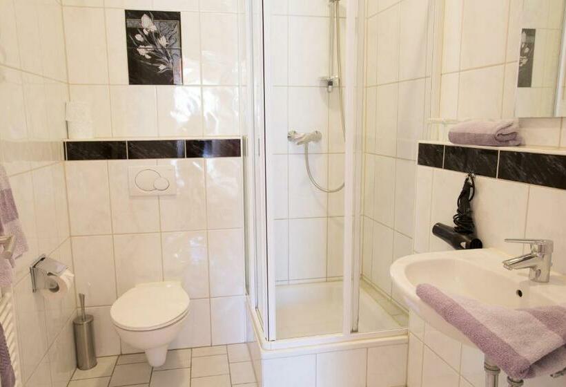 Quarto Estandar, Amadeus