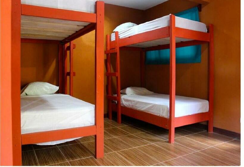 공동 객실, Coral Reef Surf Hostel And Camp