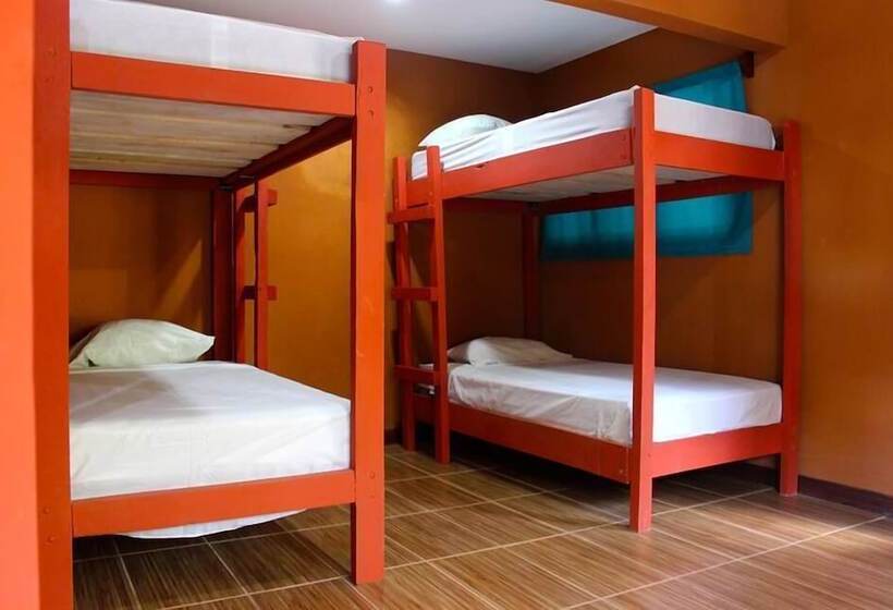 공동 객실, Coral Reef Surf Hostel And Camp