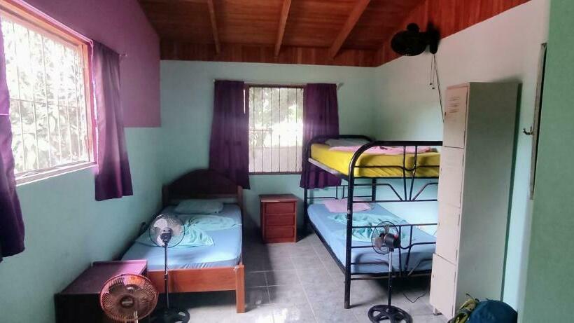 공동 객실, Matilori Hostel