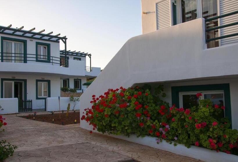 Студия Стандарт, Cavo Plako Villas