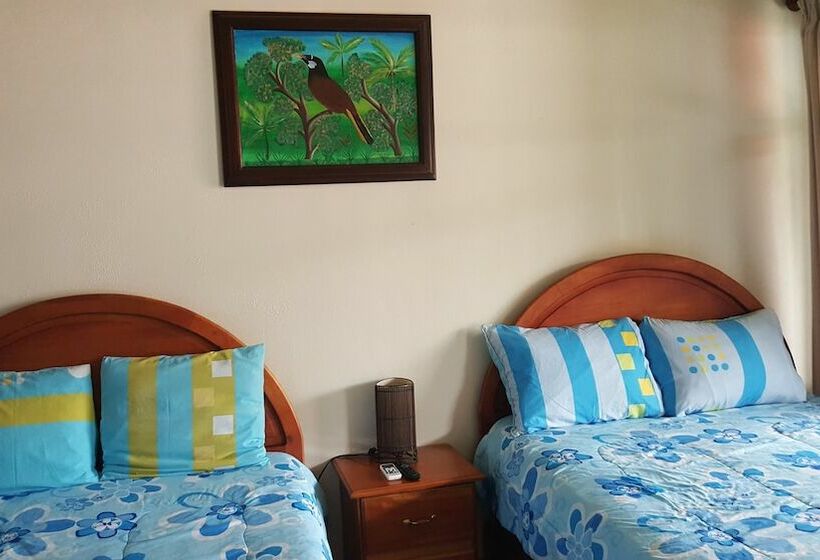 기본룸, Fas B&b