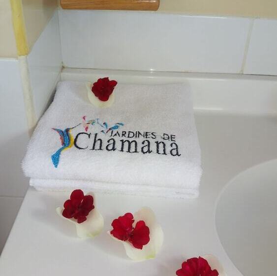 스탠다드 룸, Jardines De Chamana