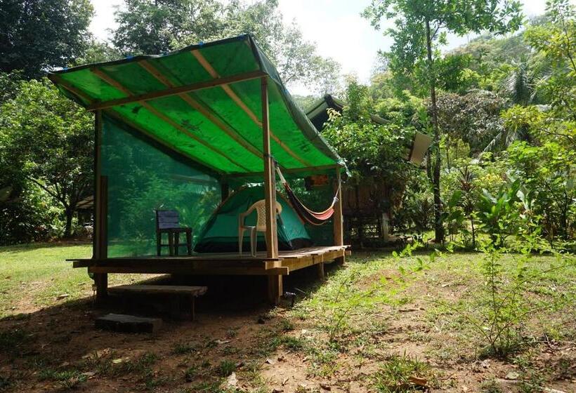 Standard Tent, Mohagine