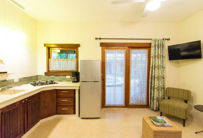 Apartamento 2 Dormitórios, Ten North Tamarindo Beach
