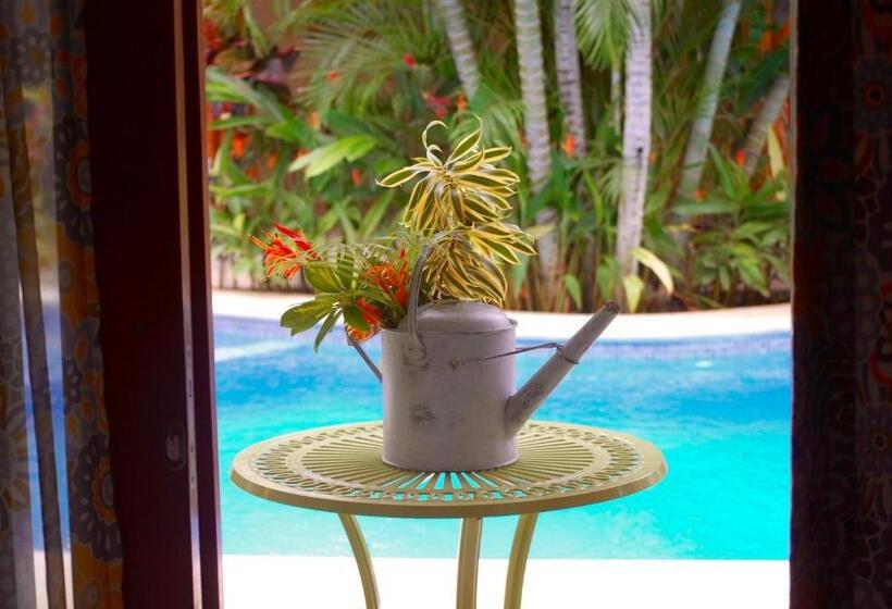 标准间, Ten North Tamarindo Beach