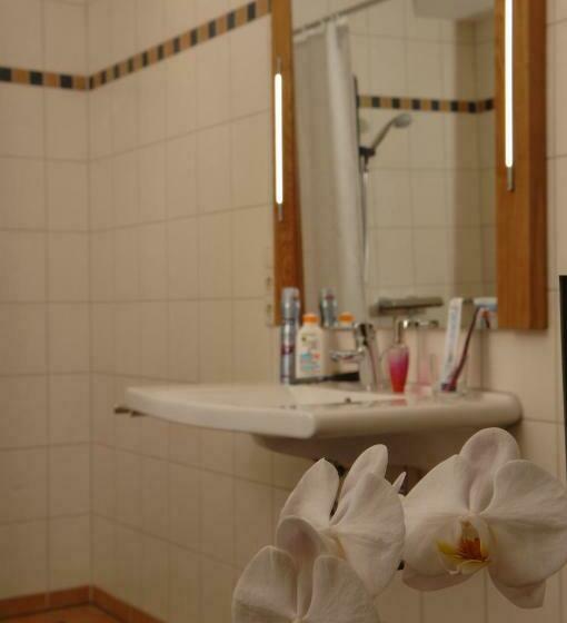 스탠다드 싱글 룸, Wolfshotel Am Arendsee