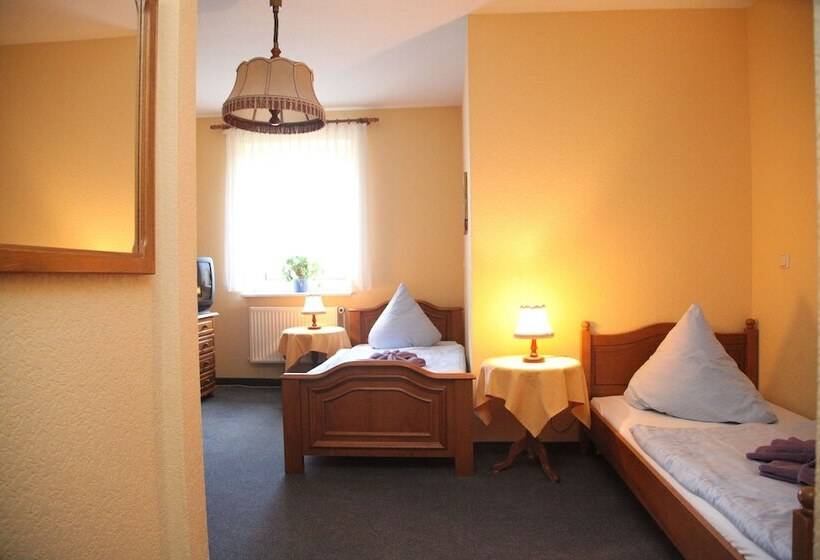 스탠다드 싱글 룸, Wolfshotel Am Arendsee