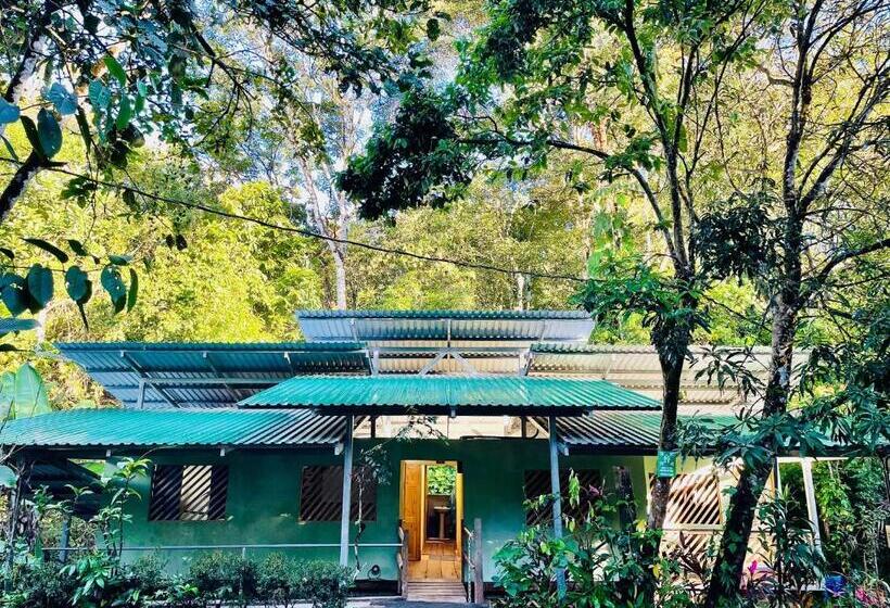 Quarto Estandar Individual com Sacada, Cascada Verde Hostel