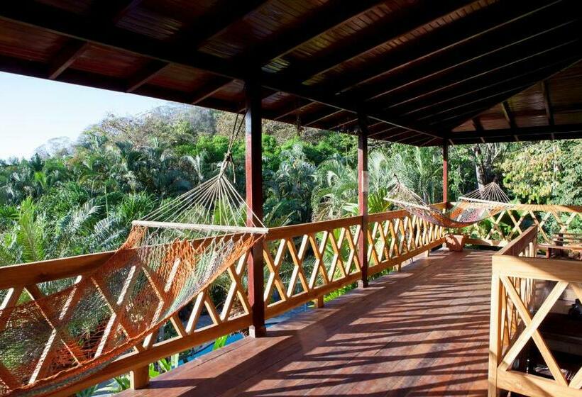 Quarto Deluxe com Sacada, El Jardin