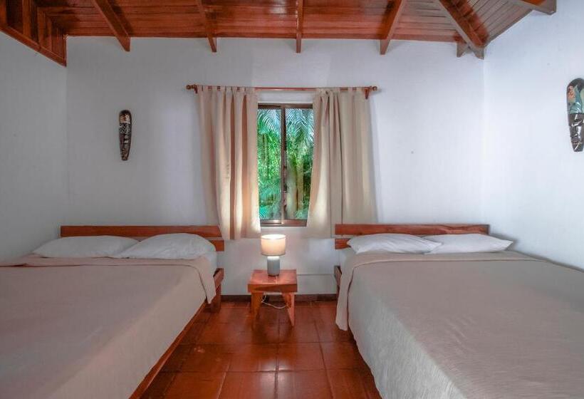 Quarto Quádruplo Estandar, El Jardin