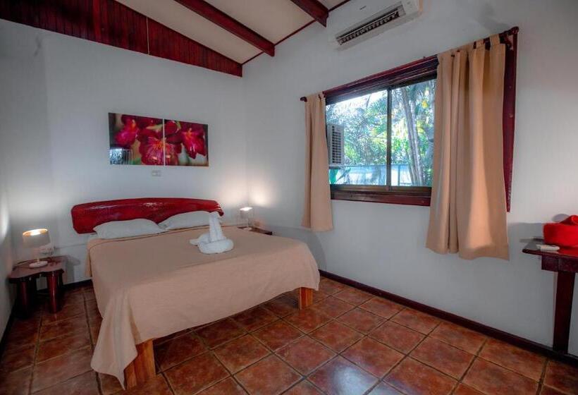 Quarto Estandar, El Jardin