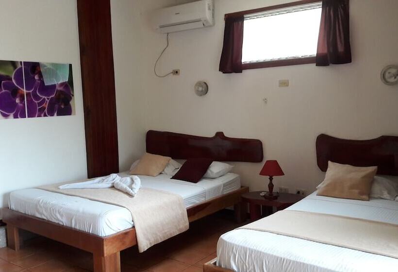 Номер Стандарт 2 Двуспальные Кровати, El Jardin