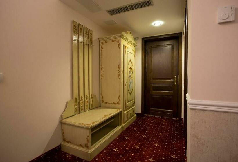 اتاق لوکس یک تخته, Aviator Boutique