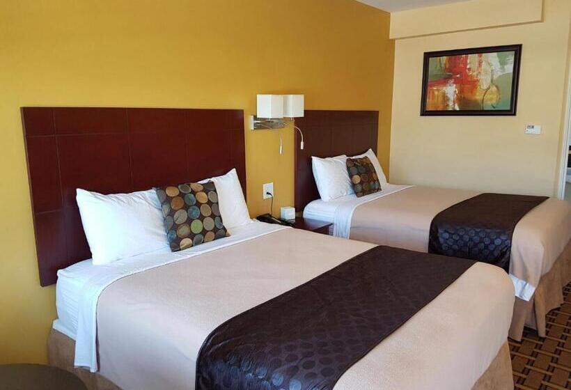 标准间, Fox Motor Inn