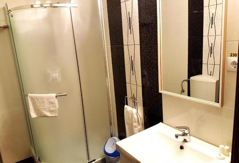 اتاق پرمیوم, Mic