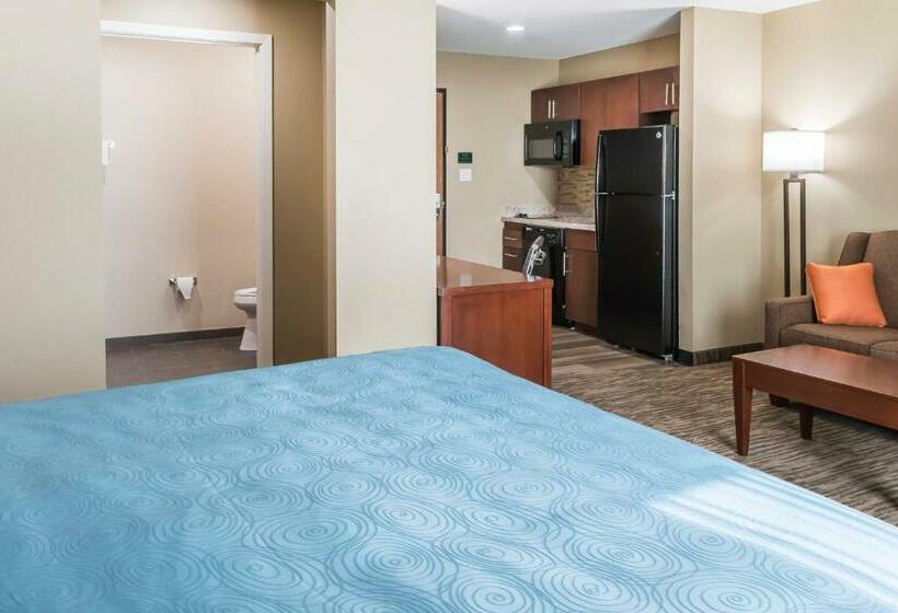 Люкс Кровать Кинг, Mainstay Suites Edinburg