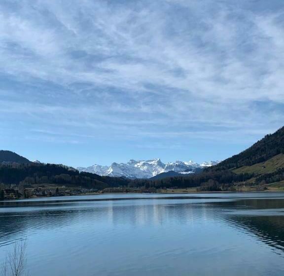 Номер Стандарт Вид на Озеро, Restaurant Eierhals Am ägerisee